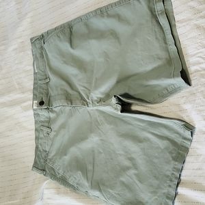 Gap Mens 10" Shorts. Sage. Size 38.  Worn but good condition.